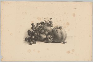 Trauben und Äpfel