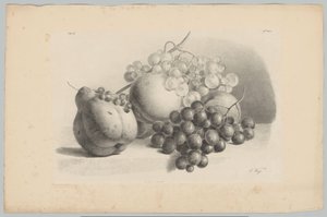Kürbis, Beeren, Trauben und Pfirsiche