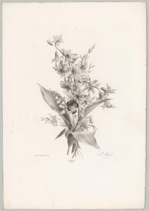 Veilchen und Hyazinthen- und Glockenblumen