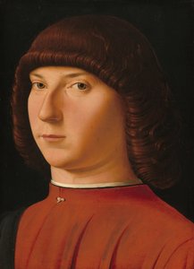 Porträt eines jungen Mannes