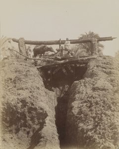 Sehaquieh, Ägypten von Antonio Beato