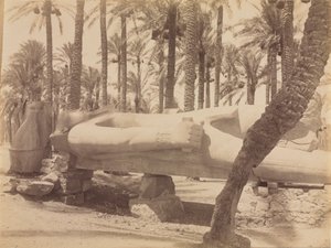 Statue von Ramses in Saqqara von Antonio Beato