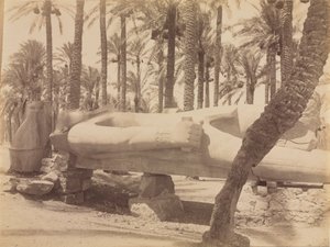 Statue von Ramses in Saqqara, ca. 1870er-1880er von Antonio Beato