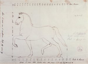 Studie für ein Pferd für ein Reitermonument von Antonio Canova