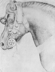 Kopf eines Pferdes, aus dem Vallardi-Album von Antonio Pisanello