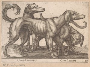 Drei Hunde von Antonio Tempesta