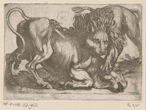 Ein Löwe greift einen Stier an von Antonio Tempesta