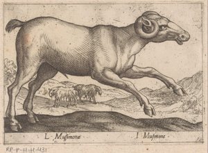 Geitachtige Dieren und Fabelwezens