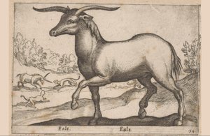 Pferd mit Hörnern