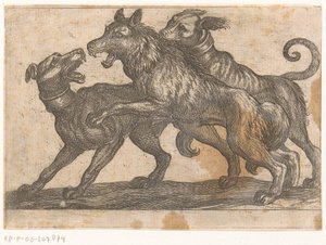 Zwei Hunde im Kampf mit einem Wolf von Antonio Tempesta