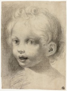 Kopf eines Kindes (Recto) Nackte männliche Figur (Verso) von Antonio da Correggio