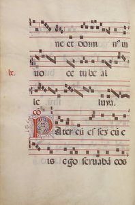 Verzierte Initiale P von Antonio da Monza