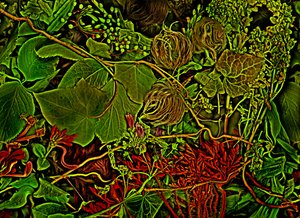 Anderswelt - das Feld, 2025