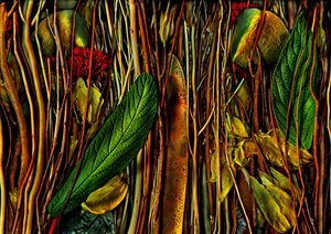 Anderswelten Nr. 79-4, seltsames Holz, 2019 von Antonius Antonius