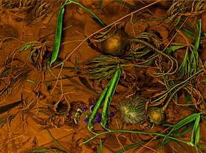 Erdkunst Nr.2, 2014 von Antonius Antonius