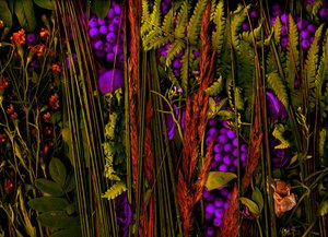 Magischer Garten Nr. 39-3, 2019