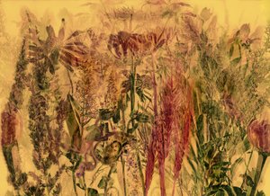 Anderswelt 92 von Antonius Antonius