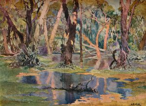 Quindanning Pool, ca. 1927 von Archibald Bertram Webb