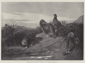 Sportliche Themen, Morgengrauen am Zwölften von Archibald Thorburn