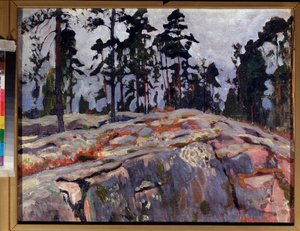 Finnland von Arkadij Aleksandrovic Rylov