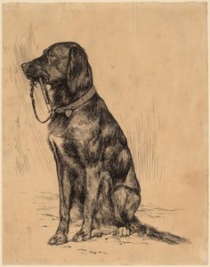 Aldrichs Hund