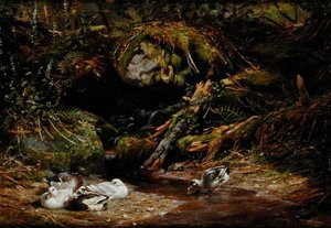 Enten am Quellkopf
