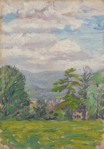 Blick durch Wiese und Baum mit Tal dahinter