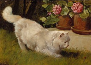 Eine weiße Perserkatze mit einem Marienkäfer von Arthur Heyer