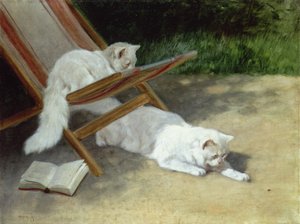 Zwei weiße Perserkatzen mit einem Marienkäfer bei einem Liegestuhl von Arthur Heyer
