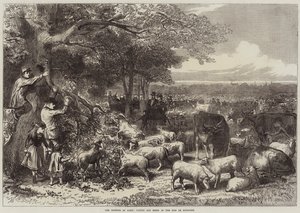 Die Verteidigung von Paris, Rinder und Schafe im Bois de Boulogne von Arthur Hopkins