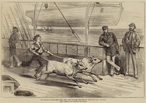 Die Heimreise des Prinzen aus Indien, Leben an Bord der Serapis, Übung der Gainees
