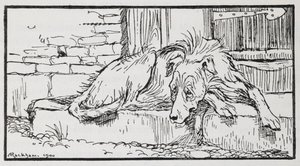 Illustration eines Hundes aus Der alte Sultan von Arthur Rackham