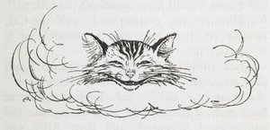 Die Grinsekatze