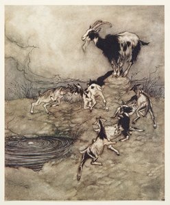 Die sieben Geißlein und ihre Mutter tanzten vor Freude um die Quelle, aus den Märchen der Brüder Grimm, veröffentlicht 1909 von Arthur Rackham