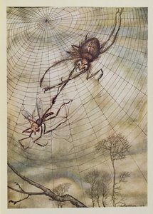 Die Spinne und die Fliege, Illustration aus 