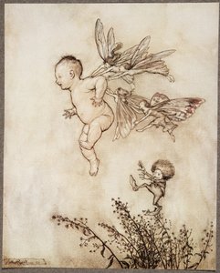 Sie kitzelten ihn alle auf der Schulter .., aus Peter Pan in Kensington Gardens von J. M. Barrie (1860 - 1937), veröffentlicht 1906 von Arthur Rackham