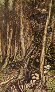 Undine von Arthur Rackham