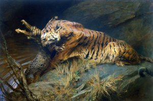 Tiger und Krokodil