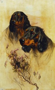 Zwei Gordon Setter von Arthur Wardle