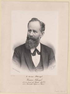 Hermann Nothnagel von Artist Unknown
