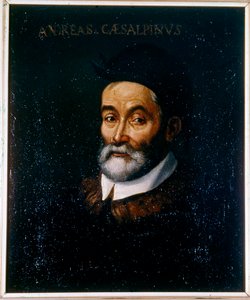 Porträt von Andrea Cesalpino von Artist Unknown