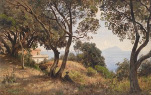 Ascan Lutteroth Südliche Ansicht 1889 von Ascan Lutteroth