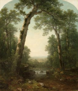 Waldstrom mit Aussicht