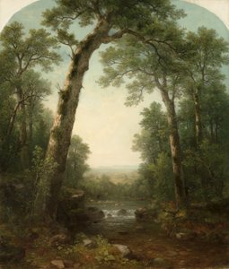 Waldstrom mit Aussicht