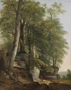 Landschaft mit Felsen und Bäumen von Asher Brown Durand