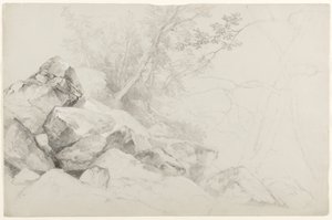 Studie von Felsen mit Bäumen, Hague, Lake George, New York, 1862 von Asher Brown Durand