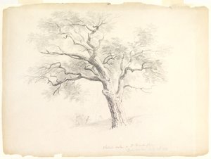 Die Kastanieneiche auf dem Hosack-Anwesen, Hyde Park, New York mit fünf Figuren und einem Künstler beim Skizzieren, 1838