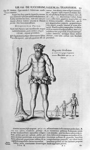 Antediluvianische Riesen, 1678