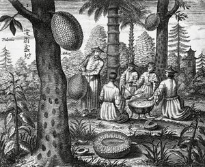 Chinesische Früchte (Arbor polomie, chinesische Papaya), Gravur aus China Denkmäler