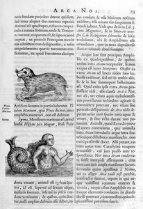 Mythische Kreaturen, 1675 von Athanasius Kircher